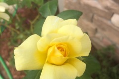 emw_20220820_164423_iPhrenalia_0037