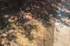 Google Fiber's loop just got tapped...