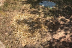 Google Fiber's loop just got tapped...