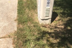 Follow the yellow brick road along the gas line!