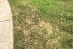 Follow the yellow brick road along the gas line!