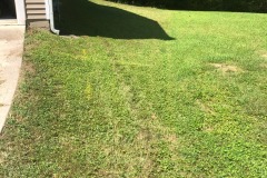 Follow the yellow brick road along the gas line!