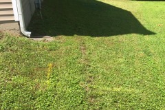 Follow the yellow brick road along the gas line!