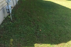 Follow the yellow brick road along the gas line!