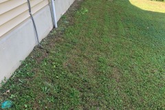 Follow the yellow brick road along the gas line!