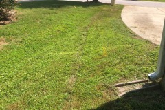 You can barely see where the fibre optic cable was trenched to the house!  Nice job!