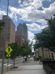 Looking south on Salisbury St