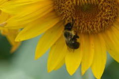 emw_20230722_123749_Dix_Park_0006