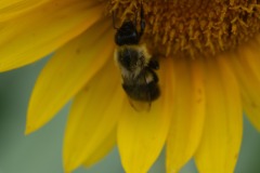 emw_20230722_123751_Dix_Park_0007
