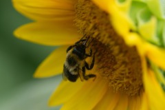 emw_20230722_123815_Dix_Park_0010