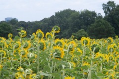 emw_20230722_124255_Dix_Park_0063