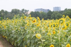 emw_20230722_124302_Dix_Park_0068