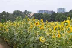 emw_20230722_124303_Dix_Park_0069