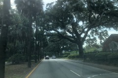 US-80 shows just why Savannah is such a beautiful place!
