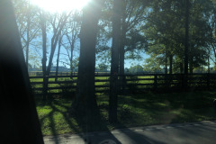 In the heart of Kentucky horse country... In the heart of Kentucky horse country...