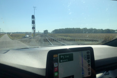 Watch out for the choo-choo! Watch out for the choo-choo!