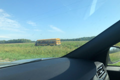 There's some recycling for you...a school bus to hold harvested pumpkins from the field!