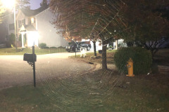 This was an impressive location for the web!