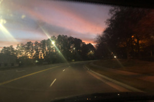 sunfox_20241118_001_sunset