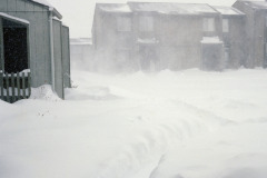 The Hawthorne's door is to the right and they filled in their neighbour's door to the left with plenty of snow! The Hawthorne's door is to the right and they filled in their neighbour's door to the left with plenty of snow!