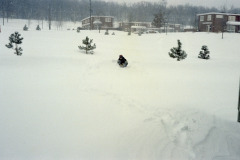 We'd walk to school in this!