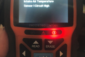 sunfox_20250904_001_Traverse
