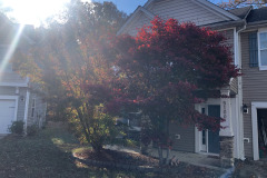 emw_20251110_140910_iPhrenalia_0004