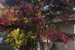 emw_20251110_140934_iPhrenalia_0011