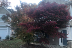 emw_20251111_160741_iPhrenalia_0002