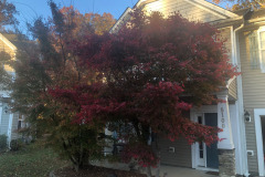 emw_20251112_073448_iPhrenalia_0004