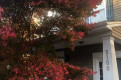 emw_20251112_073517_iPhrenalia_0010