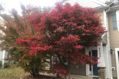 emw_20251113_072748_iPhrenalia_0003