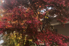 emw_20251113_140308_iPhrenalia_0002