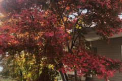 emw_20251113_140313_iPhrenalia_0005