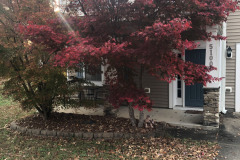 emw_20251113_160924_iPhrenalia_0006