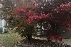 emw_20251113_160933_iPhrenalia_0008