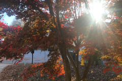 emw_20251114_081444_iPhrenalia_0023