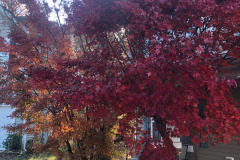 emw_20251116_150653_iPhrenalia_0002