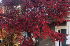 emw_20251116_150700_iPhrenalia_0006