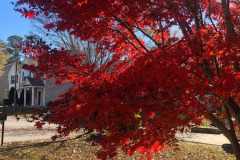 emw_20251117_105031_iPhrenalia_0008