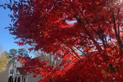 emw_20251117_105034_iPhrenalia_0009