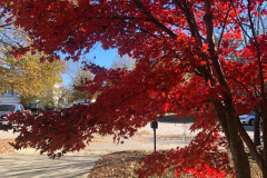 emw_20251117_105043_iPhrenalia_0011