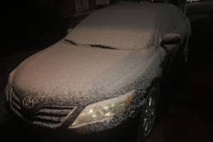 sunfox_20251208_002_Snowpocalypse