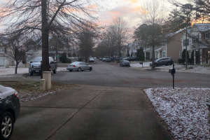 sunfox_20251209_001_Snowpocalypse