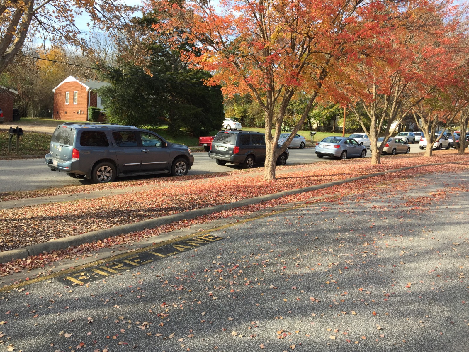 Fall leaves at Carnage Middle School carpool lane…