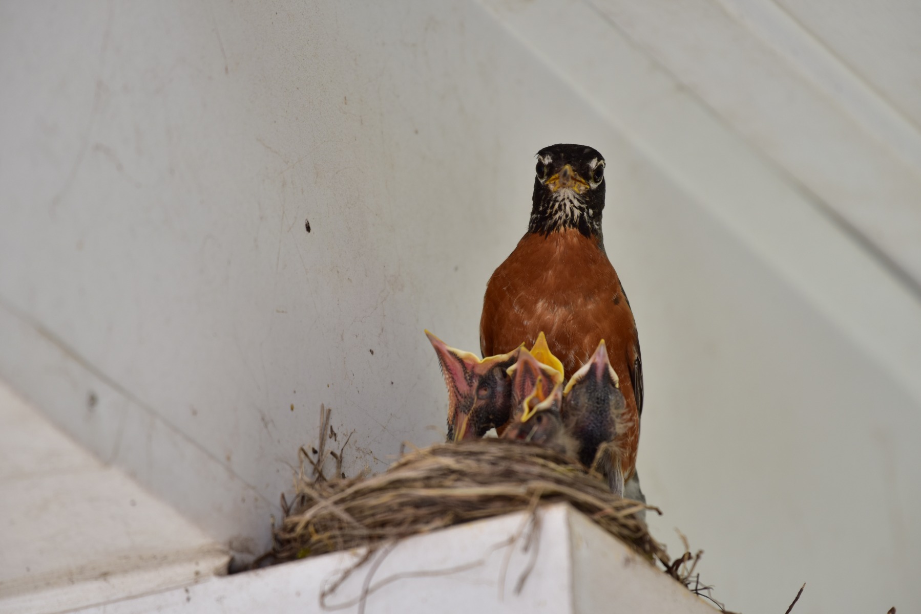 From the “The Job Is Never Truly Done” Dept: