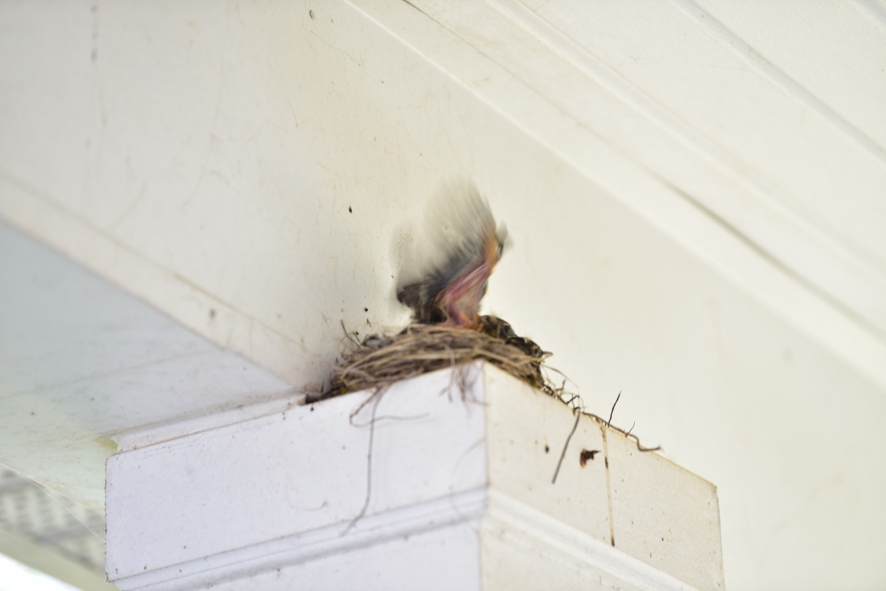 From the “It’s Getting Awfully Crowded In There” Dept: