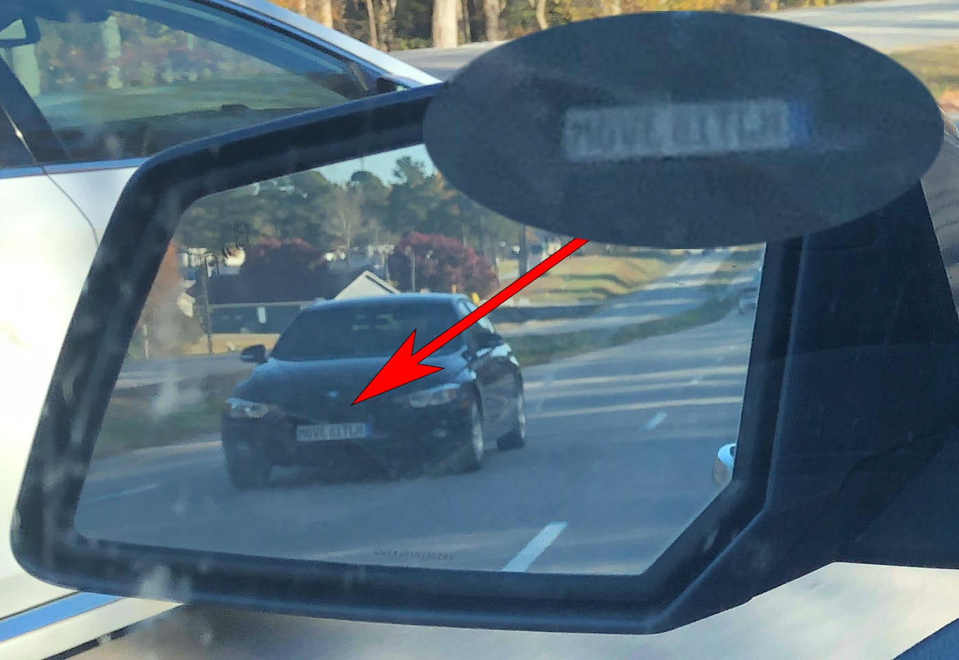 From the “Don’t Hold Back, Tell Us What You *REALLY* Think!” Dept: