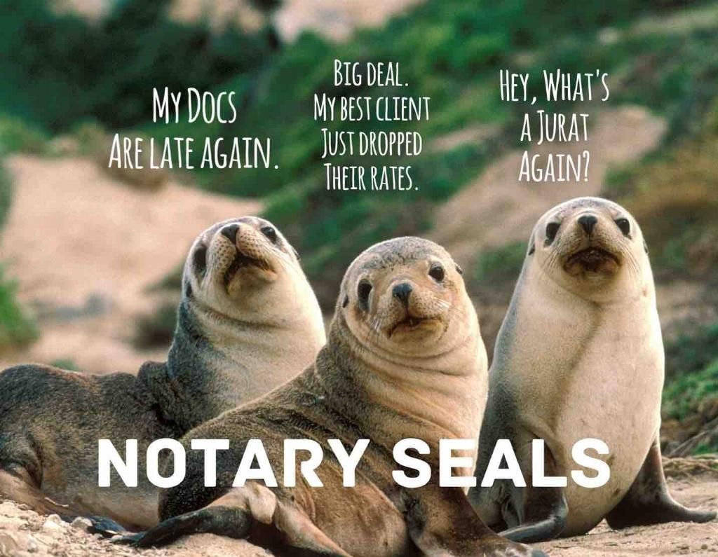 From the “Bring Forth The Seals!” Dept: